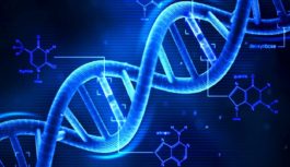 With all the talk of DNA testing now is good time to remind people to never use any DNA testing company. They are mining data for future use.