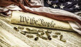 Why the Second Amendment is the last stand. The Fourth Amendment and First Amendment are essentially non-existent..